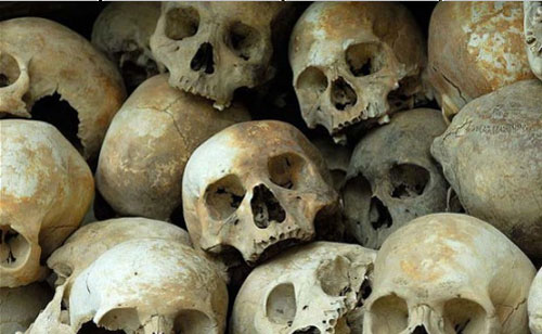 Thăm hòn đảo sọ người với tục mai táng bằng... kiến