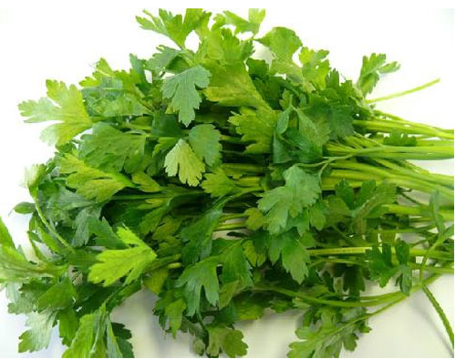 Những người tuyệt đối không được ăn rau mùi