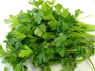 Những người tuyệt đối không được ăn rau mùi