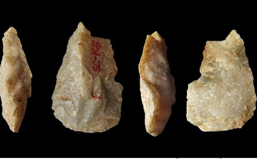 Tổ tiên loài người đã xuất hiện ở châu Á từ hơn 2 triệu năm trước?