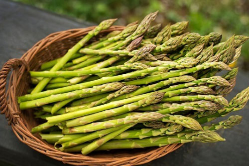 6 loại rau cần chần qua nước sôi trước khi nấu để loại bỏ chất độc, ít người biết điều này