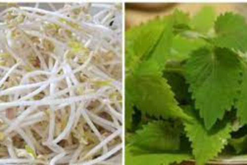 4 loại rau khi ăn lẩu không nên cho vào kẻo "rước họa vào thân"