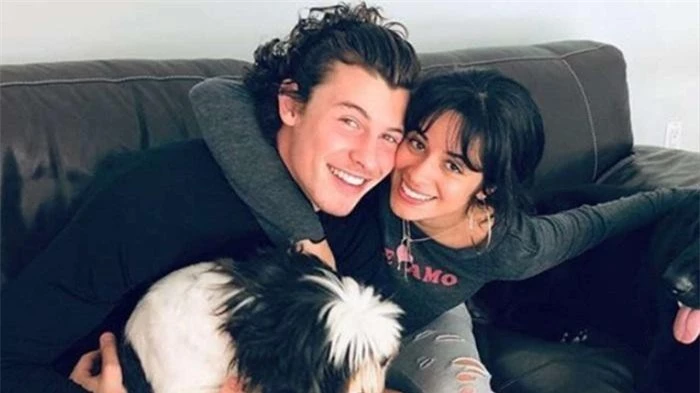 Nhà Shawn Mendes và Camila Cabello bị trộm mất siêu xe gần 11 tỷ đồng ảnh 3