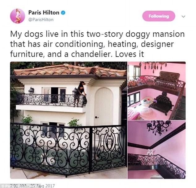 Paris Hilton mạnh tay chi 350 ngàn USD xây biệt thự cho cún cưng ảnh 1