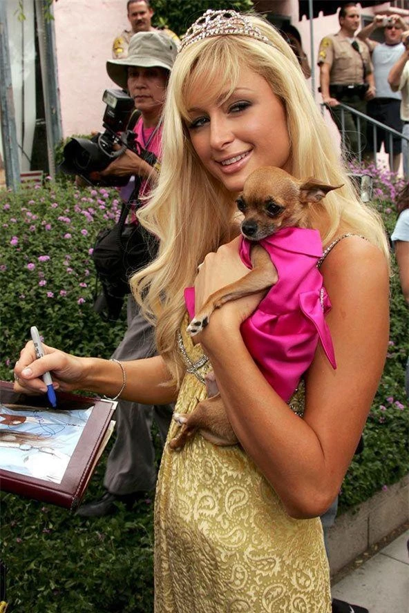 Paris Hilton mạnh tay chi 350 ngàn USD xây biệt thự cho cún cưng ảnh 5