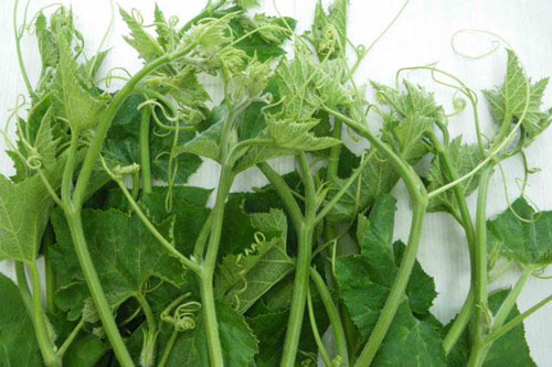 Mách chị em mẹo tước ngọn bí nhanh bất bại, không còn xơ làm món gì cũng ngon