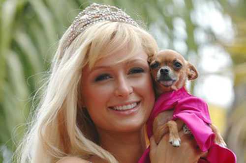 Paris Hilton mạnh tay chi 350 ngàn USD xây biệt thự cho cún cưng