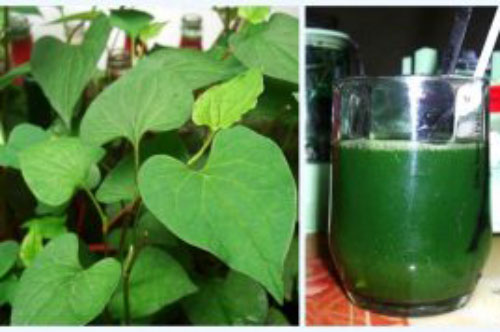 Top 6 cách trị mụn đầu đen hiệu quả ở mũi và má