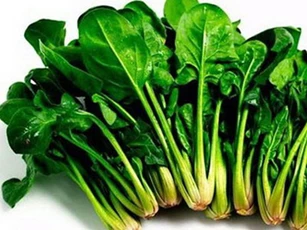 Tác dụng của cải bó xôi với sức khỏe con người