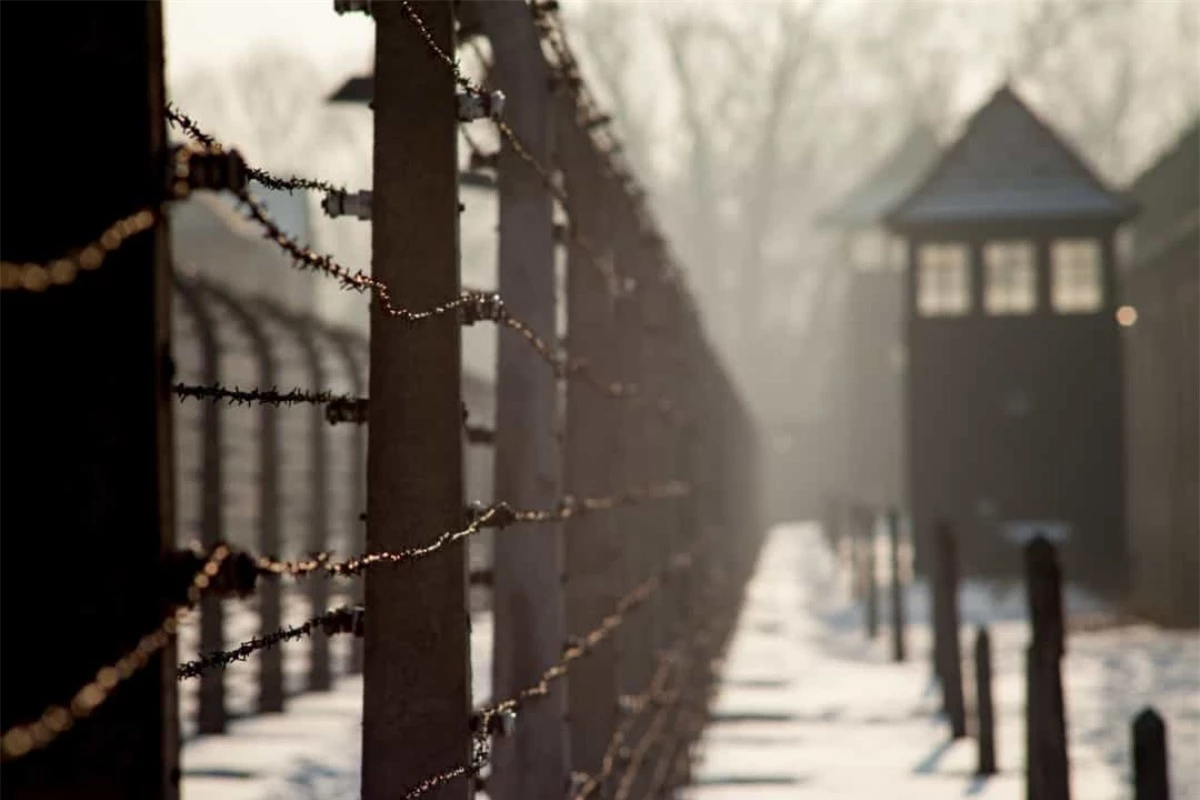 Hơn 1/3 dân số Do Thái ở Đức đã bị giết hại trong suốt thảm họa diệt chủng Holocaust do Đức Quốc xã tiến hành trong Thế chiến II.