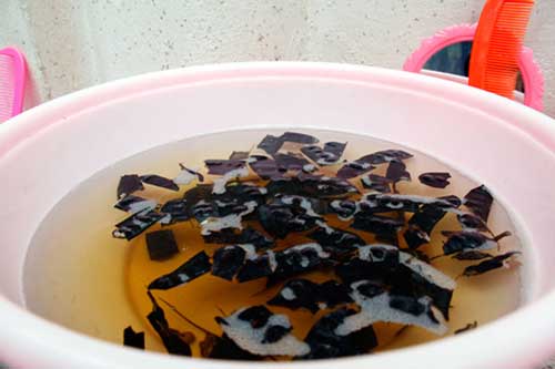 Các loại quả và cây ngăn ngừa rụng tóc hiệu quả