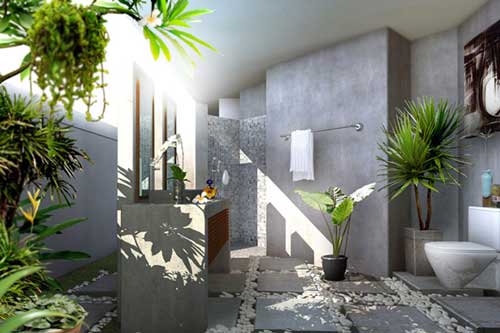 8 loại cây giảm nhiệt mùa hè mà bạn nên đặt trong nhà, văn phòng