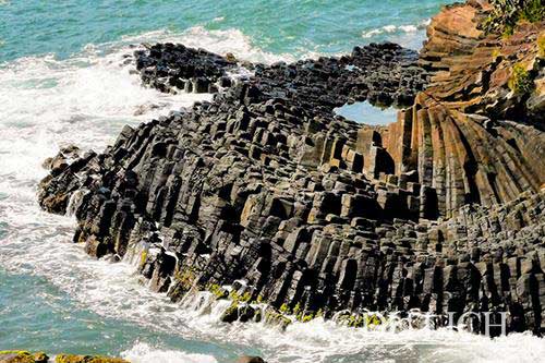 Gành Đá Đĩa: tuyệt tác thiên nhiên xứ “hoa vàng cỏ xanh”