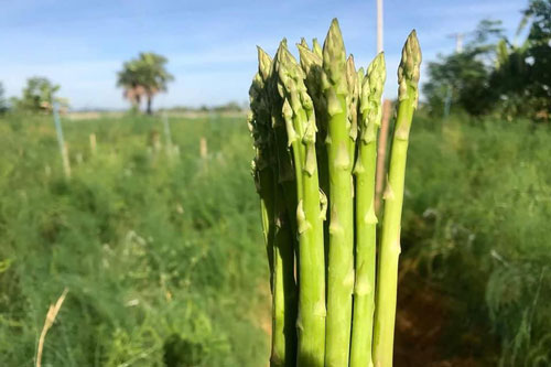 Loại bỏ căng thẳng bằng thực phẩm