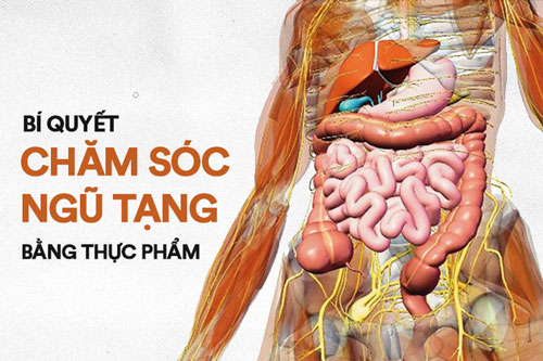 Thực phẩm bổ thận, chăm sóc nội tạng hiệu quả hơn cả dùng thuốc