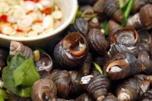 4 sai lầm nghiêm trọng khi ăn ốc gây đau bụng, rước ký sinh trùng vào người