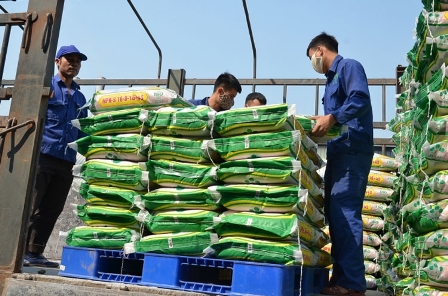 Supe Lâm Thao hoàn thành vượt mức nhiều chỉ tiêu kế hoạch 3 tháng đầu năm