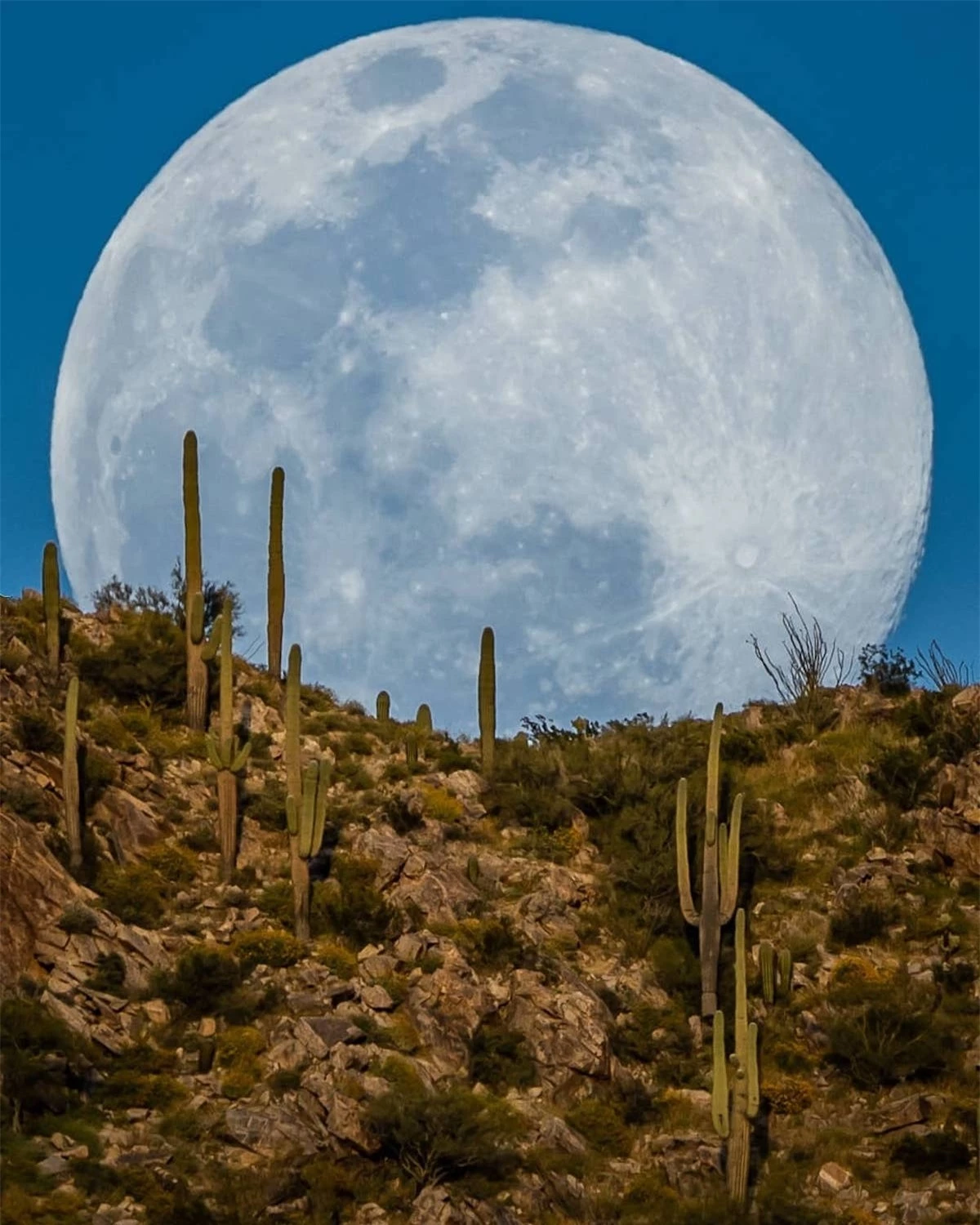 Hình ảnh siêu thực về mặt trăng khổng lồ trong sa mạc - Ảnh 6.