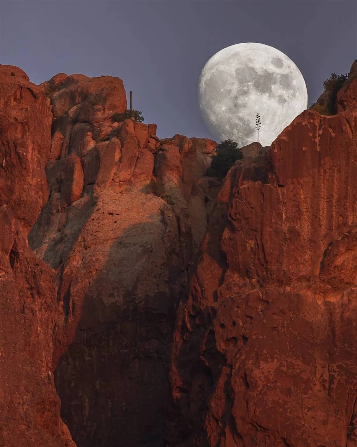 Hình ảnh siêu thực về mặt trăng khổng lồ trong sa mạc - Ảnh 9.