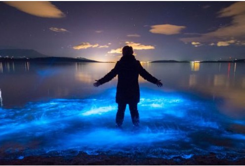 Top 8 hiện tượng thiên nhiên tuyệt đẹp có ở Australia