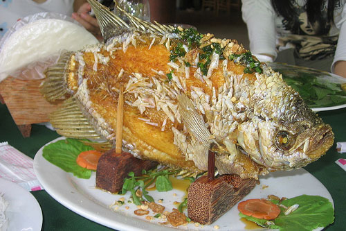 Ăn cá rất tốt nhưng phạm vào đại kị này thì gây hại khó lường