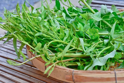 Sai lầm khi ăn rau muống mà rất nhiều người Việt vẫn mắc phải hằng ngày