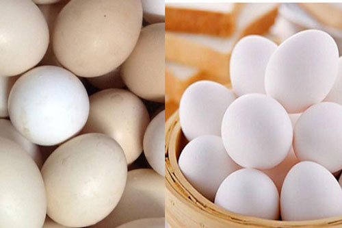 Mua trứng nên chọn quả to hay nhỏ? Đây là "bí mật" mà người bán sẽ không bao giờ tiết lộ