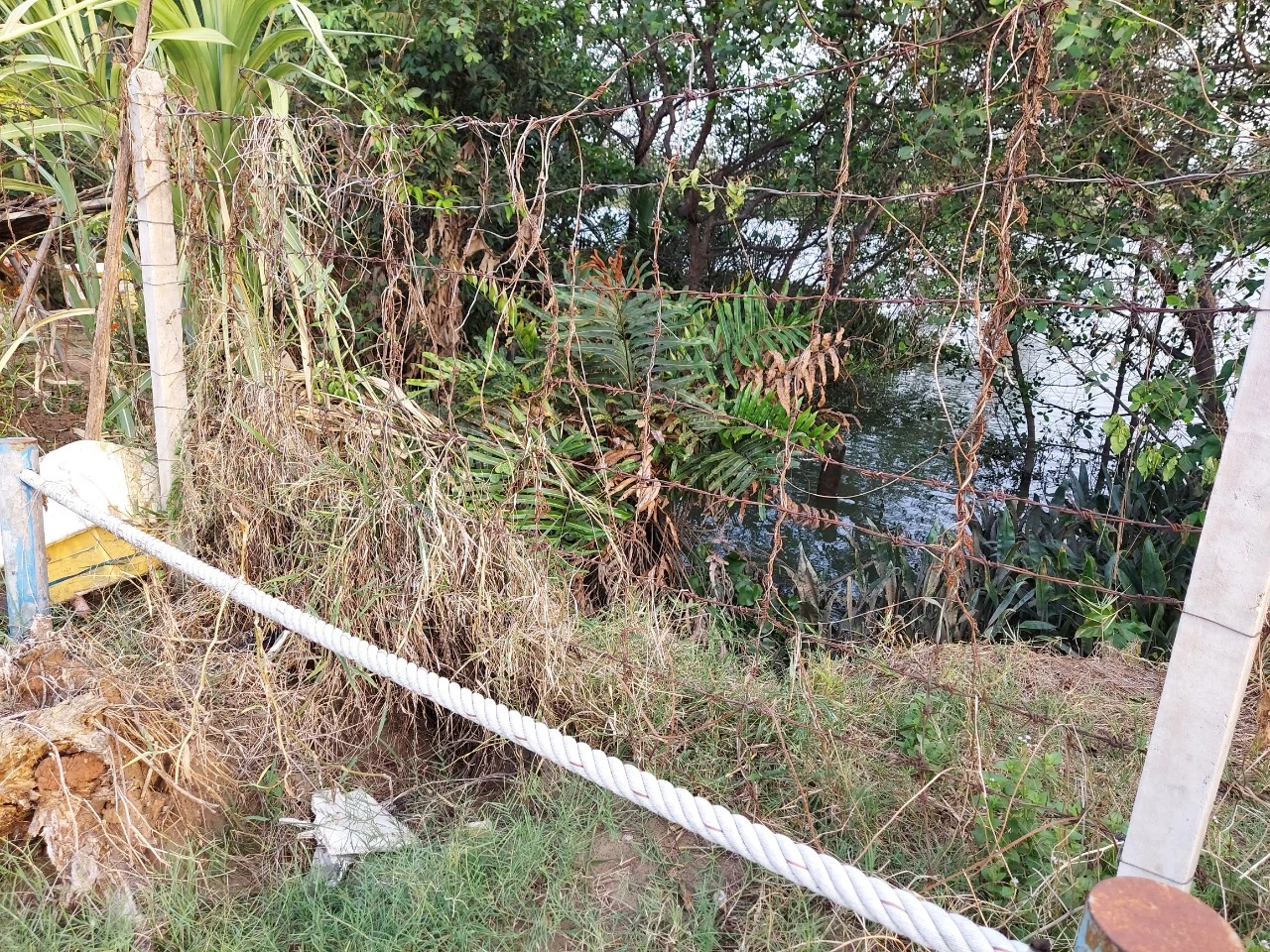 2.Nước thải sinh hoạt Khu dân cư Melosa Garden được xả trực tiếp ra sông không qua xử lý?