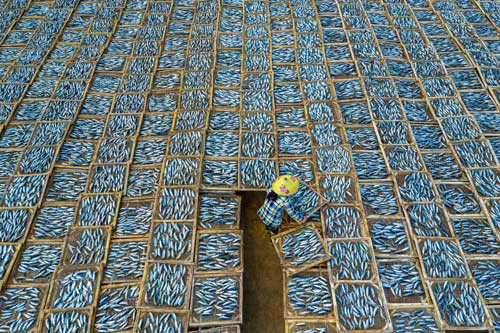 Cảnh phơi cá ở Việt Nam vào top ảnh đẹp thế giới