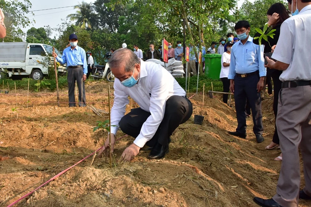 Chủ tịch UBND tỉnh Thừa Thiên Huế Phan Ngọc Thọ tham gia trồng cây Mai vàng tại huyện Phong Điền.