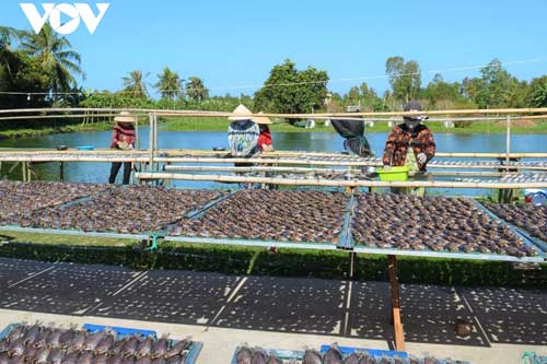 Điểm danh những đặc sản nổi tiếng gần xa của vùng Đất Mũi - Cà Mau