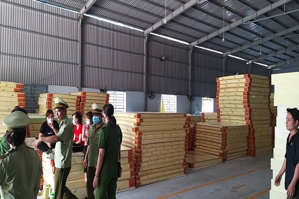 Công ty Vườn Xanh Bình Dương sản xuất nệm giả nhãn hiệu Thắng Lợi