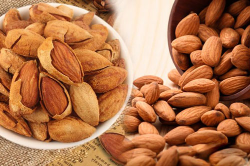 Thực phẩm giàu vitamin E bạn nên bổ sung hằng ngày