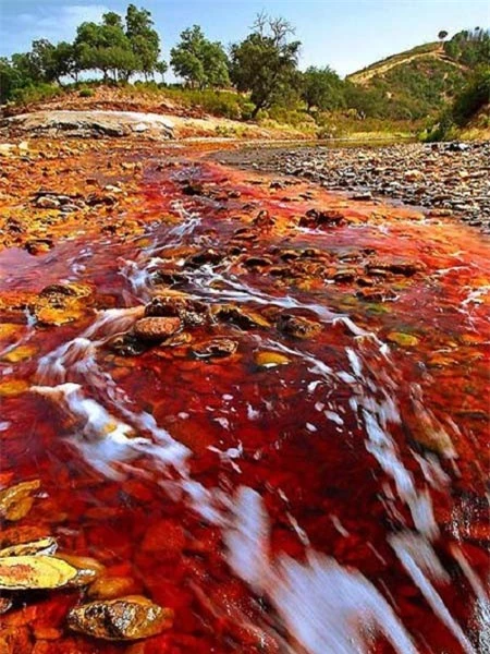 Lạ lùng dòng sông đỏ như máu ở Tây Ban Nha ảnh 2