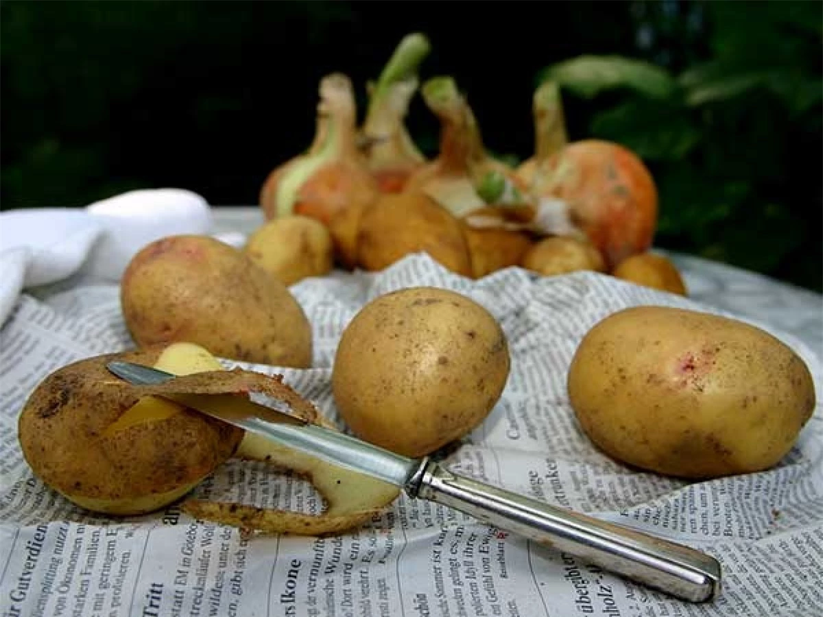 Khoai tây: Giống như cơm, khoai tây nấu chín cũng không nên được bảo quản ở nhiệt độ phòng vì chúng rất dễ nhiễm khuẩn. Bạn cũng không nên làm nóng lại khoai tây vì việc này có thể gây hại cho cơ thể khi ăn vào.
