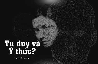Khái niệm về Ý thức và Tư Duy - Nhiều người nói suốt ngày mà vẫn nhầm lẫn