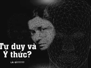Khái niệm về Ý thức và Tư Duy - Nhiều người nói suốt ngày mà vẫn nhầm lẫn