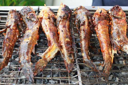 Khám phá món cá ngon lạ có hình dáng kỳ dị ở Cà Mau