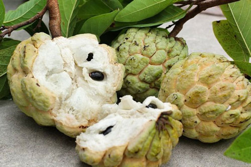 Quả na ngon ngọt, giàu dinh dưỡng nhưng người mắc 4 bệnh sau nên tránh xa kẻo "rước họa vào thân"