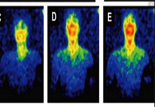 Con người cũng có khả năng phát sáng như cá dưới đại dương