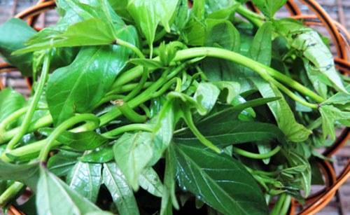 Bạn nên ăn rau lang vì 8 'lợi ích vàng' này