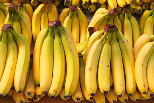 Những điều bạn cần phải biết về quả chuối