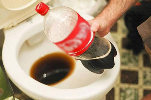 Thấy chồng đổ lon coca mới mua vào bồn cầu, vợ định mắng là "đồ dở hơi" nhưng phát hiện điều bất ngờ