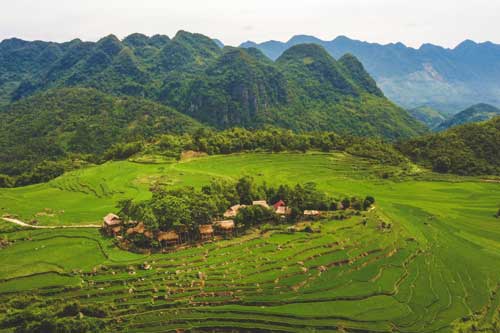 Những khu nghỉ dưỡng đưa du khách đắm mình giữa rừng cây tại Việt Nam