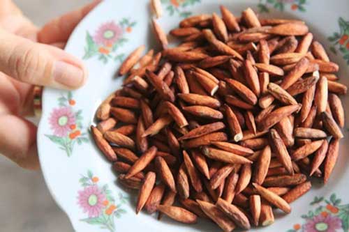 Món ngon có một không hai cực hấp dẫn của Côn Đảo