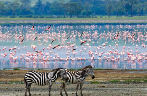 20 &#x111;&#x1ECB;a &#x111;i&#x1EC3;m ch&#x1EE5;p &#x1EA3;nh &#x111;&#x1EB9;p nh&#x1EA5;t th&#x1EBF; gi&#x1EDB;i