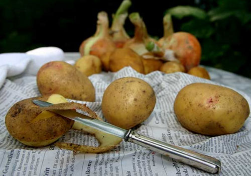 Những thực phẩm này sẽ trở nên độc hại nếu chế biến sai cách