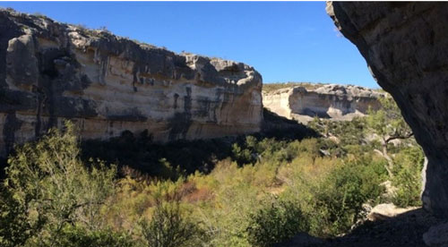 Bí ẩn của xác ướp người đàn ông ăn châu chấu trước khi chết