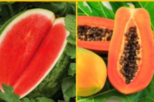 5 loại hoa quả càng để trong tủ lạnh càng nhanh hỏng, biến chất, ăn vào coi chừng ngộ độc