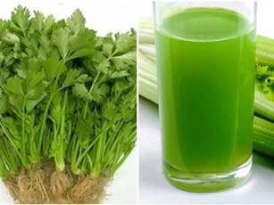 5 sai lầm khi uống nước ép cần tây mất sạch dinh dưỡng, thậm chí gây vô sinh